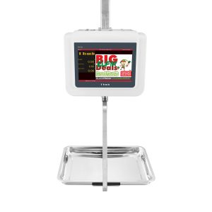 PH10 Hanging Scale